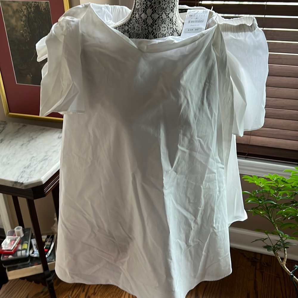Adorable Zara babydoll NWT dress